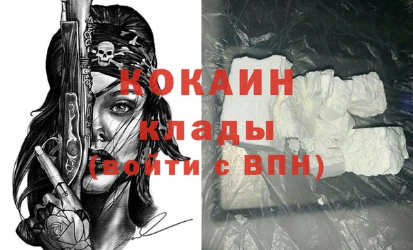 прущие грибы Верея