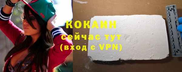 прущие грибы Верея