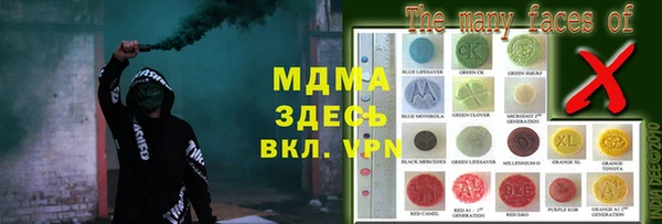прущие грибы Верея
