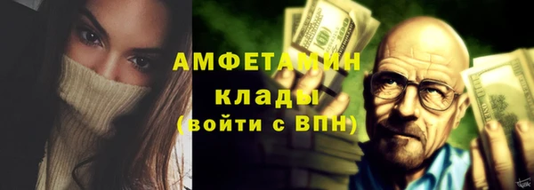 прущие грибы Верея