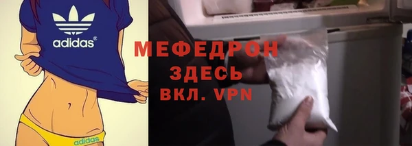 прущие грибы Верея