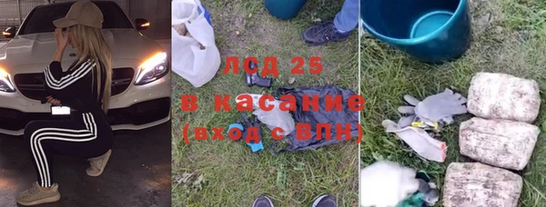 прущие грибы Верея