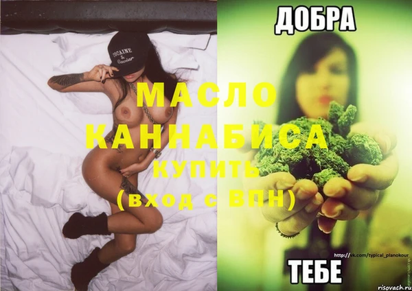прущие грибы Верея