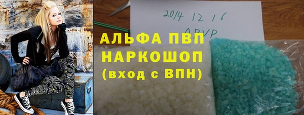 прущие грибы Верея
