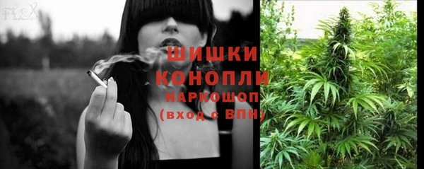 прущие грибы Верея